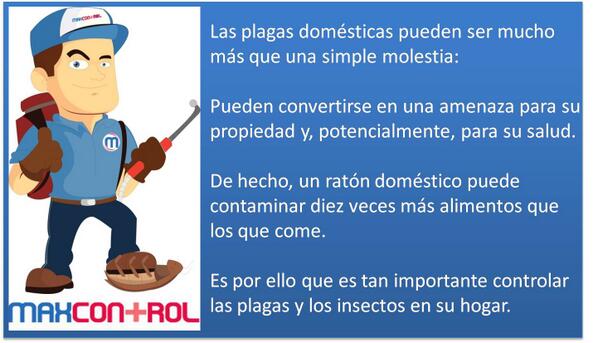 maxcontrolmore's tweet image. 