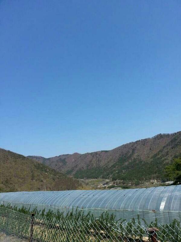 jonha8495's tweet photo. 하늘  푸르다아 ㅋㅋ http://t.co/HK2jAR7Pos