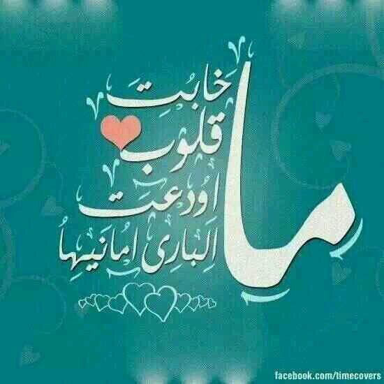 Aldee2012 tweet picture