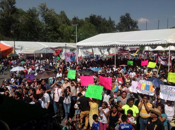 Miguel Ángel Cámara tweet media