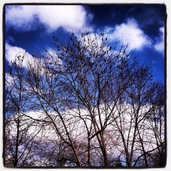 PowderDrips's tweet image. April 18th in #Canton @Buzzbin with @RaggedyAndy88 #music #buzzbin