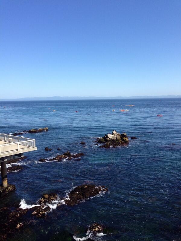 LLStyleTravel tweet picture