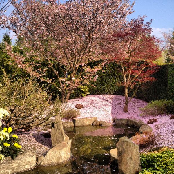 Olenka_Life's tweet image. Have a good week #spring is in the air #Berlin 
#Exactcode