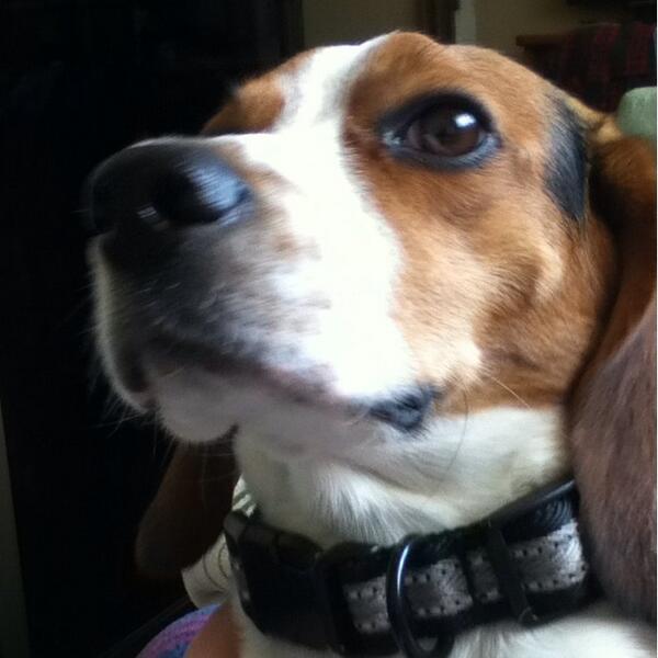 Good Morning Everyone!