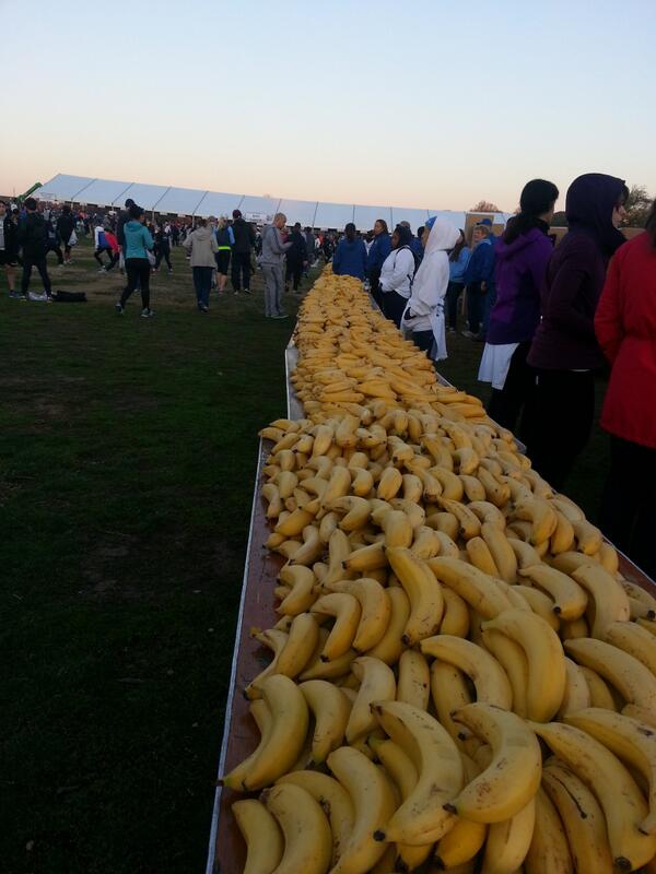 jajedlicka's tweet photo. @JMUBananaEaters look at this glorious sight! http://t.co/m6XRQFdIDn