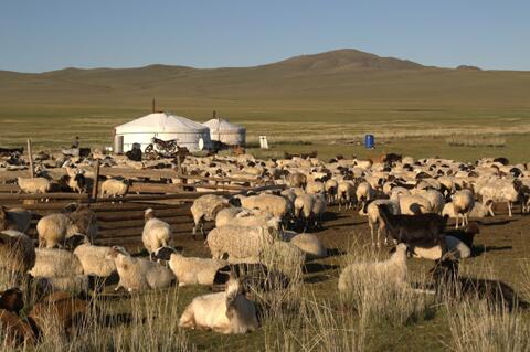 Confirmed for an archaeological expedition to Mongolia this Summer.  A Xiongnu nomadic site.