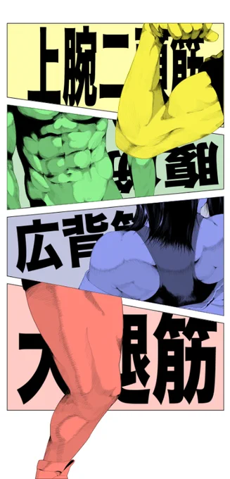 中野ちゃんがどんな筋肉しててもいいように色々な筋肉を描く歩 
