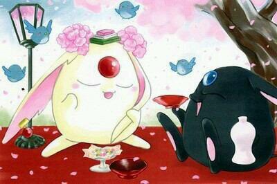 モコナ様 モコナ＝モドキもドッキドキ (@mokomokomokoona) / Posts / X