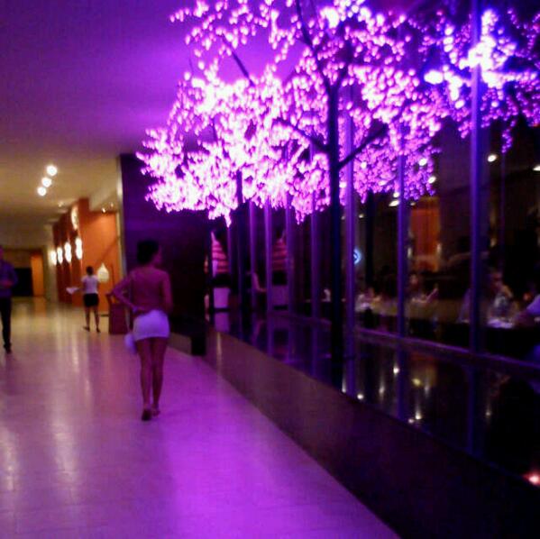 elesia5's tweet photo. Siempre para alante sin mirar hacia atrás http://t.co/xLpjF8HQD2