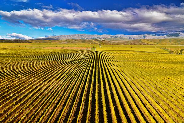 OMGFacts tweet media