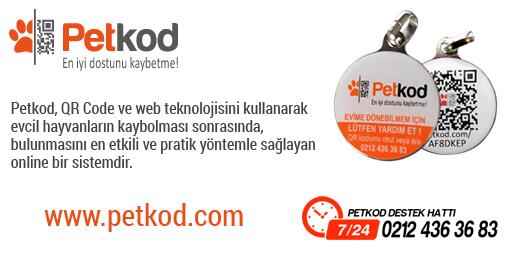 PETKOD.COM
Evcil hayvanınızın PETKOD'u yok mu?
Bu twiti RT eden 2 kişi Petkod'un ilk sahiplerinden olacak