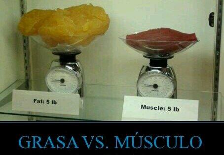 salamalicun's tweet photo. Comparación del volumen que ocupan en el cuerpo la materia grasa y las fibras musculares #interesante http://t.co/0zzHfPwt82