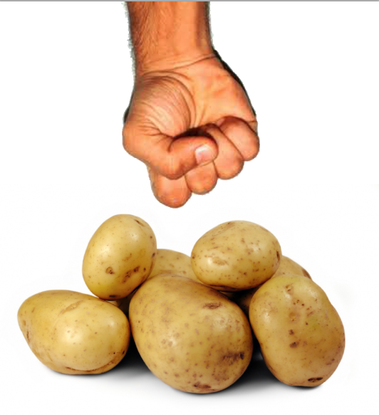 Kakhiel's tweet photo. lekker aardappelen verbouwen http://t.co/N0efFS2Vys