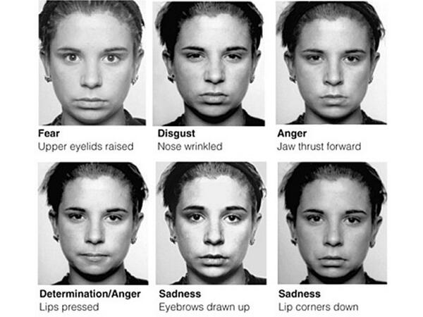 microexpressions paul ekman