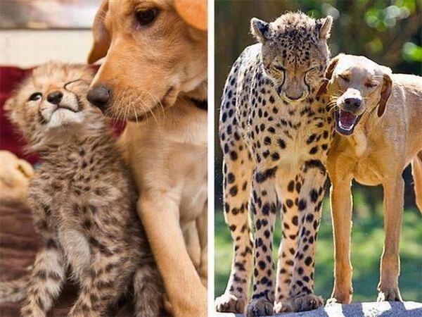 RT+FAV si te gusta la foto

La amistad verdadera, no debe romperse nunca, pero solo la de verdad, no la del interés.