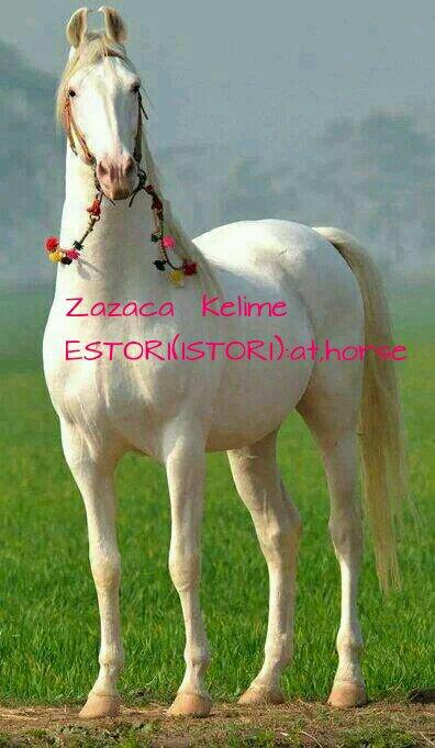 Rastmusnayoh's tweet photo. http://t.co/JlJfyP8rAa