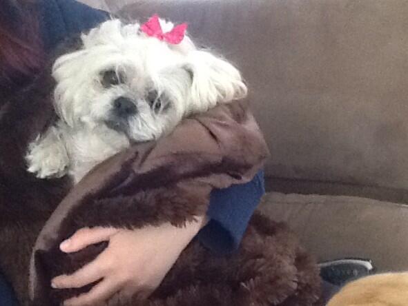 victoria ruggieri (@ToriRuggieri) | Twitter