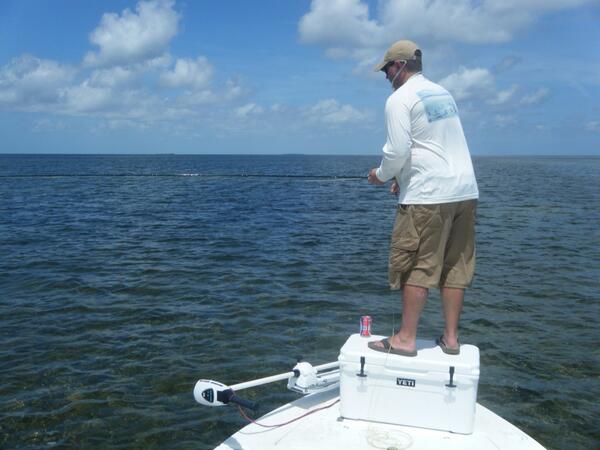 rstrokes1's tweet photo. Multitasking on the bow #flyfish #budweiser http://t.co/OyTNCiDVpE