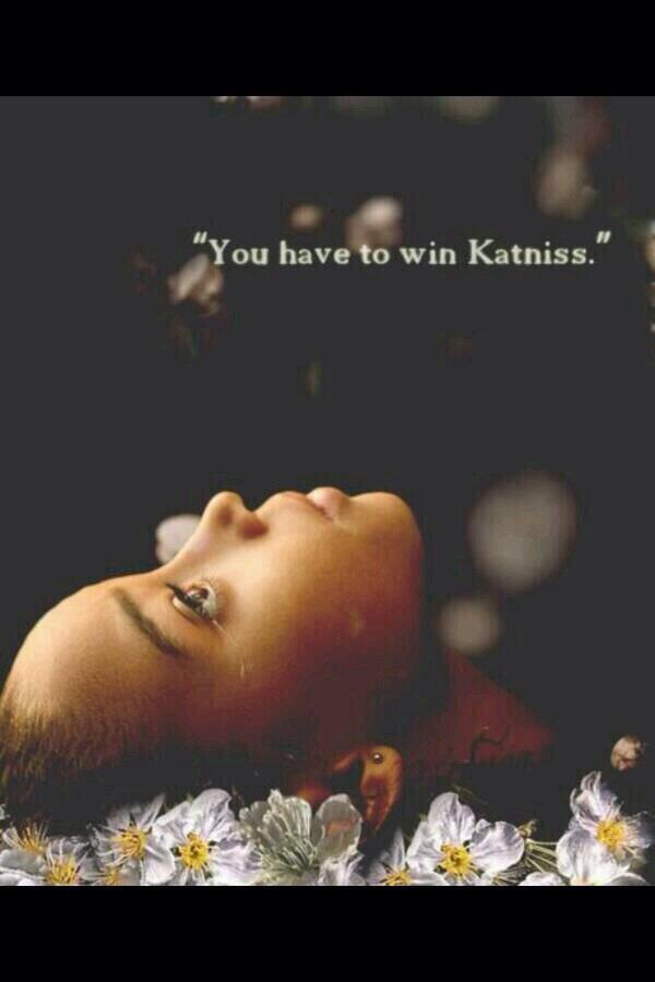 Ptgbbk (ptgbbk) Twitter