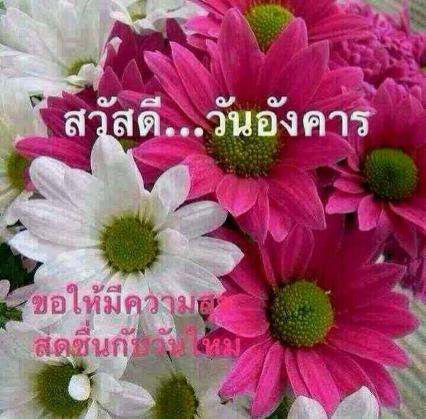palasak_k's tweet photo. http://t.co/JpBVznsiT8