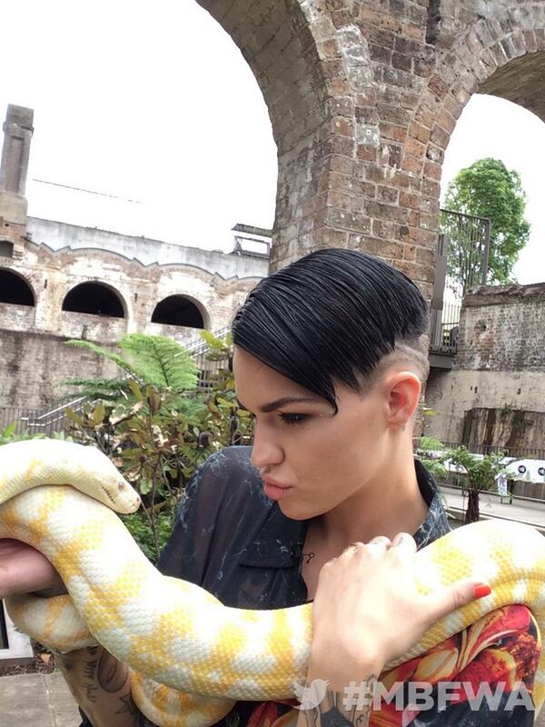 .<a href="/RubyRose/">🥀</a> with her new best friend Candy backstage at <a href="/wearehandsome/">We Are Handsome</a> #mnyau #twittermirror #mbfwa