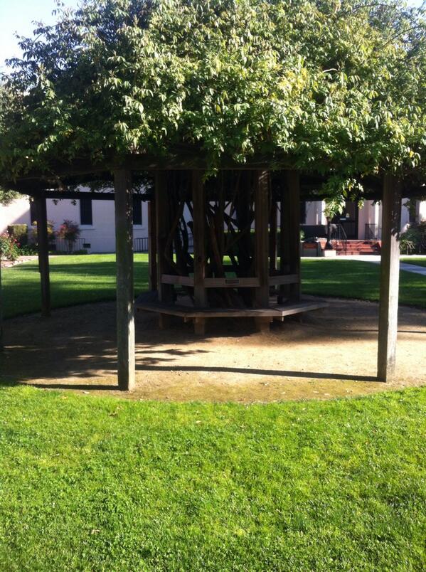 Carlos Castro tweet media