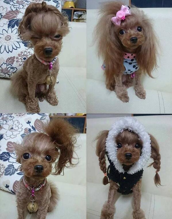 kaliel's tweet photo. com que cabelo saio hoje http://t.co/KJ42sesbTP