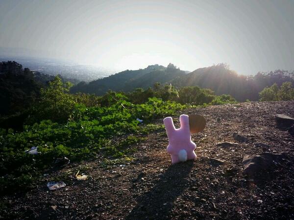 Getting out to enjoy the sunset over the bay.