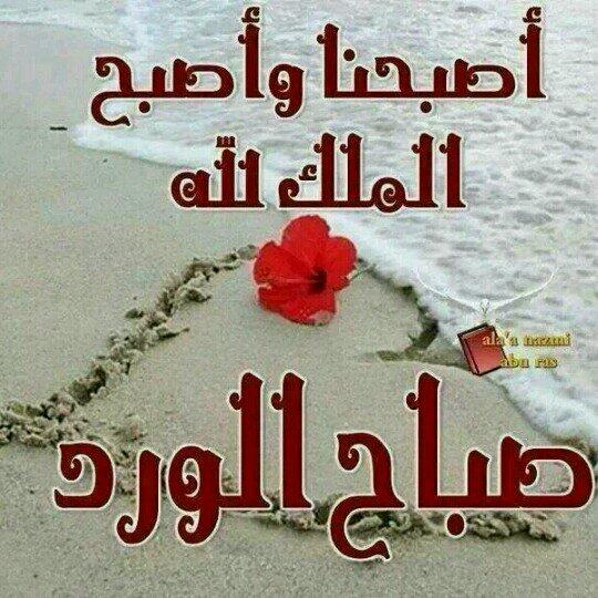 SULTAN ♡ (@1144aidh) on Twitter photo 