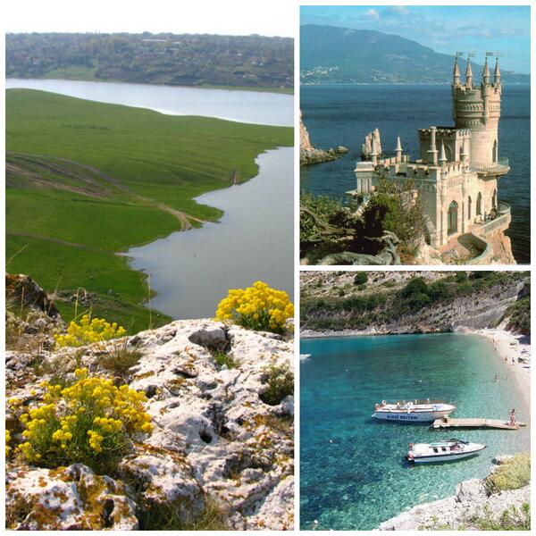 Moldexpo S.A. tweet media