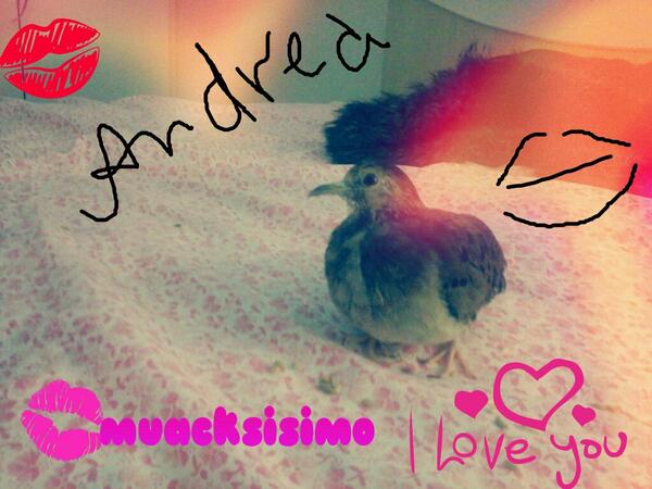 SionBeula's tweet photo. #muacksisimo A amazingble time with I love u babe http://t.co/rBYcY9ZOPK