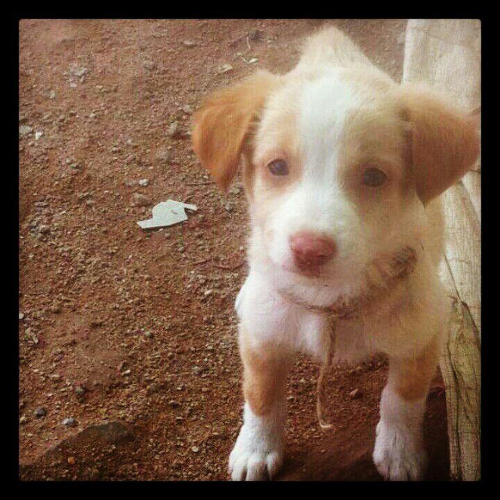 Embedded image permalink