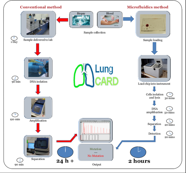EGFR mutations detection in non-small-cell lung cancer patients, our proposed solution: