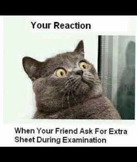 YulEdochie's tweet image. Lolzzzzzzz