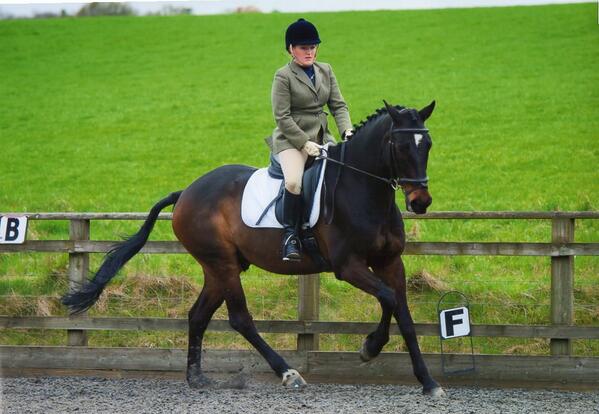 EquinityUK's tweet image. I had a fantastic day at Dressage on Sunday with the beautiful Salvador with him winning both his classes :)