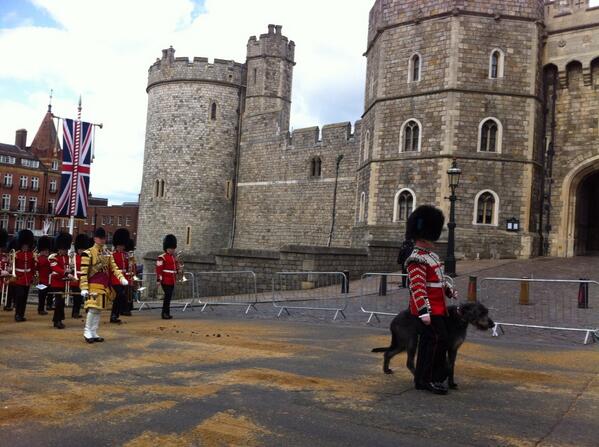 carldinnen's tweet photo. Walking the dog at Windsor Castle. I think he's always called Cuchulainn. Anyone know? http://t.co/BO6DouvzMj