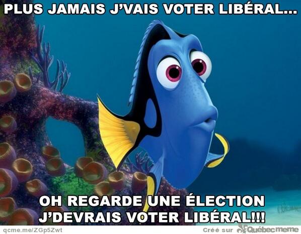JulibouRadio's tweet image. Y'a beaucoup de Doris au Québec !