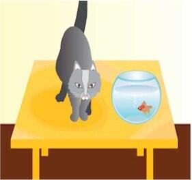 tablepadscustom tweet picture
