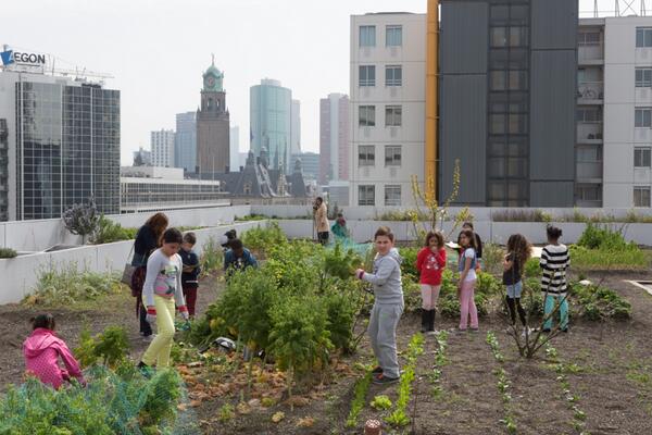 In 't edu-programma ¿?Dakennie¿? op de #dakakker snuffelen kinderen aan het dakboeren, foto: