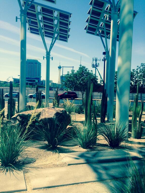 jendavies26's tweet image. In case you didn't know, it's amazing outside! #welcomebacksummer