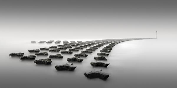 Colossal tweet media