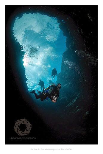 Bookyourdive's tweet photo. Descending into one of Palau's blue holes
Pic by: Undersea Productions Found at http://t.co/XZt1QaX7a9 #scuva http://t.co/Z916z4LIQX