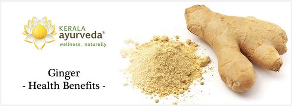 Ginger is one of the easily available ingredient that has several health benefits.  ayurvedaacademy.com/blogs/ginger-h…