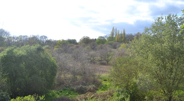 Here's our #greenbelt basking in the sun today. Next tweet will show you what the developers are planning for it...