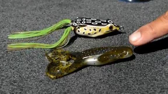 Awesome video on when to fish a frog vs a toad with <a href="/JamesNiggemeyer/">James Niggemeyer</a> gofi.sh/1knAq57
