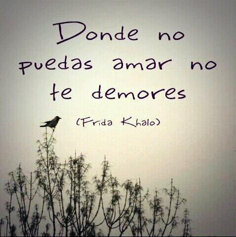 solcordoba8's tweet image. #Tippss