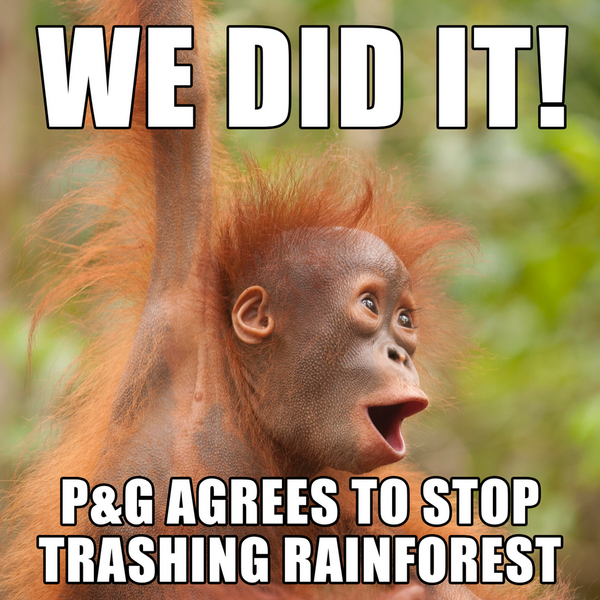 Wow! <a href="/ProcterGamble/">Procter & Gamble</a> agrees to stop trashing the rainforest and #protectparadise!