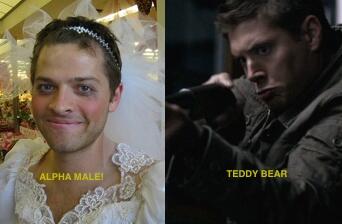 mishacollins's tweet photo. Not really fair pitting adorable Jensen against this pure machismo in an "alpha male" contest: http://t.co/ovyyRE9Jrp http://t.co/E5ScUzMFSp