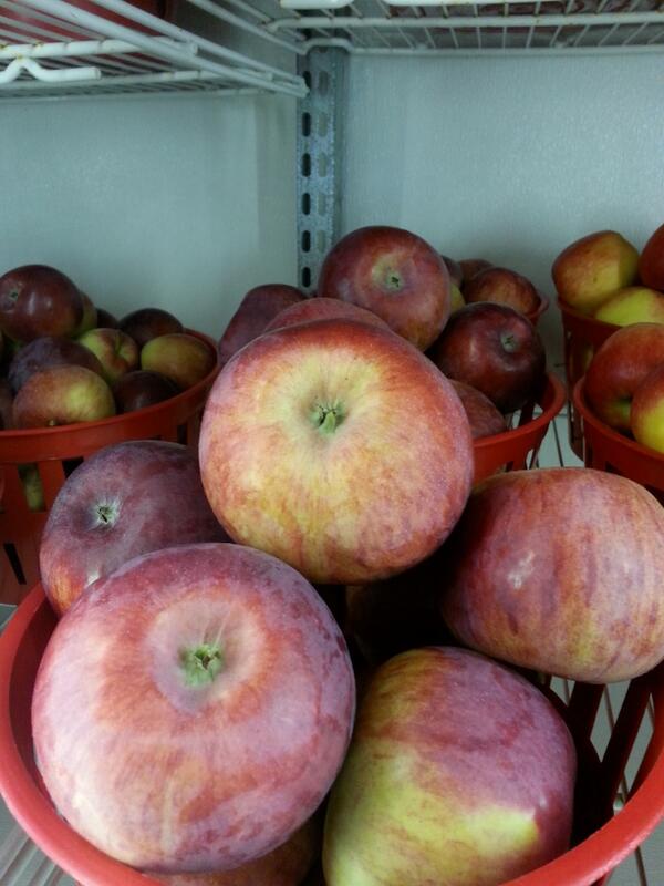 Lincoln Line Orchard tweet media