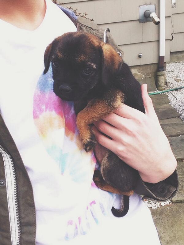 JackBaran's tweet image. just met this little cutie skylar💕